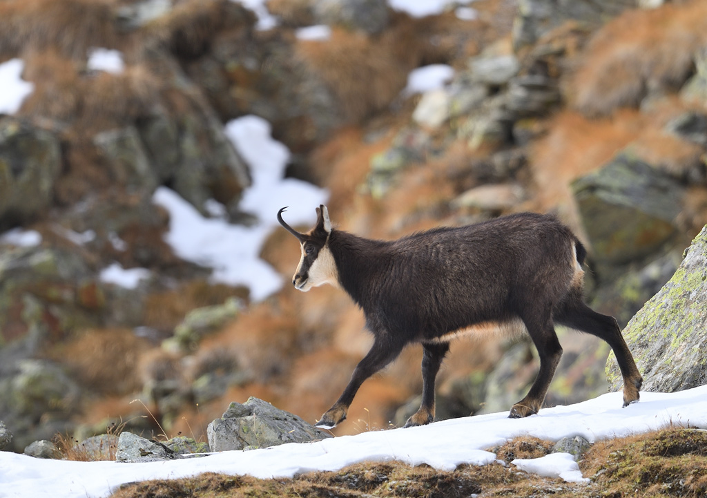 DS5_5937.jpg