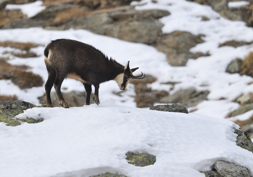 DS5_5944.jpg