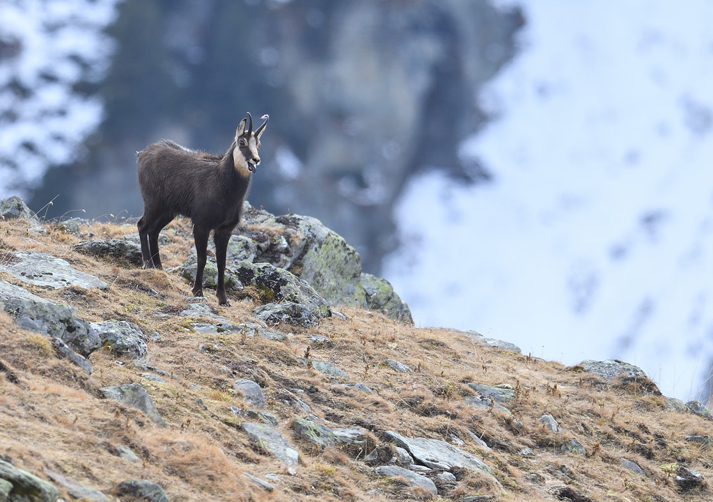 DS5_5961.jpg