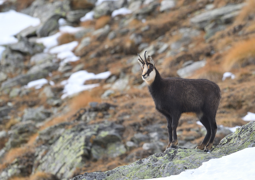 DS5_5971.jpg