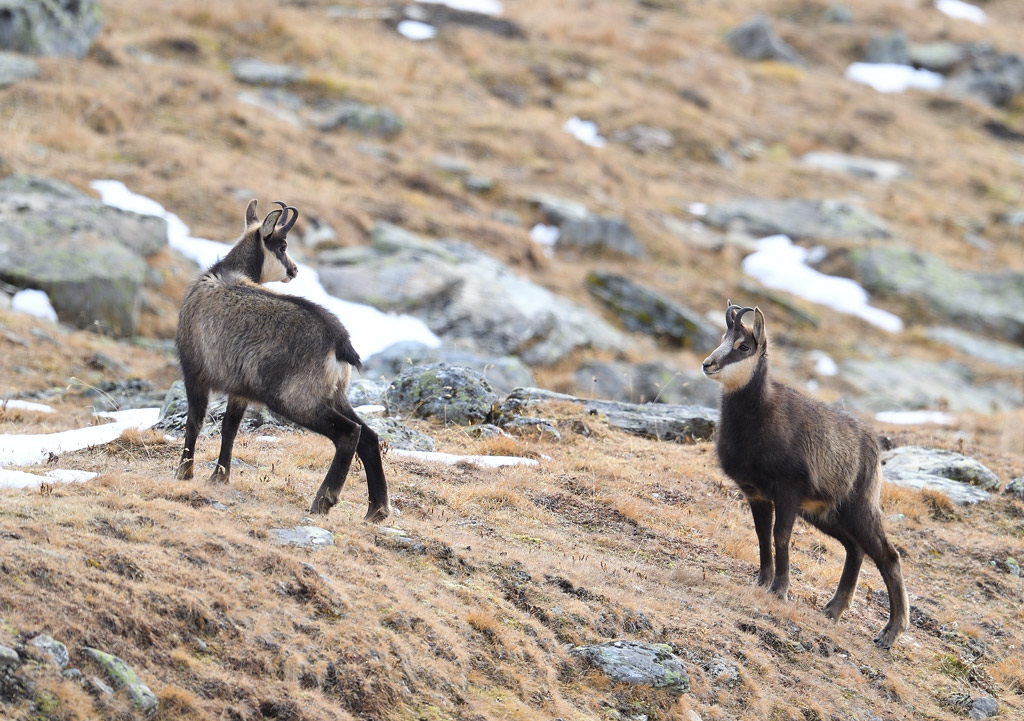 DS5_5997.jpg