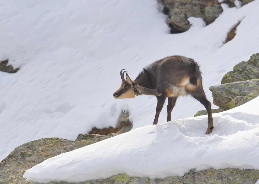 DS5_6043.jpg