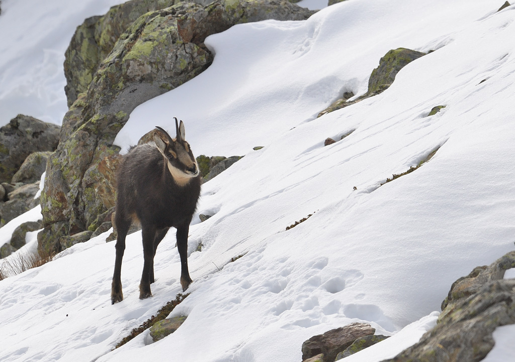 DS5_6051.jpg