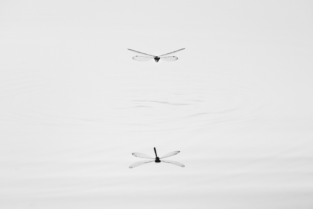 ND4_9821.jpg
