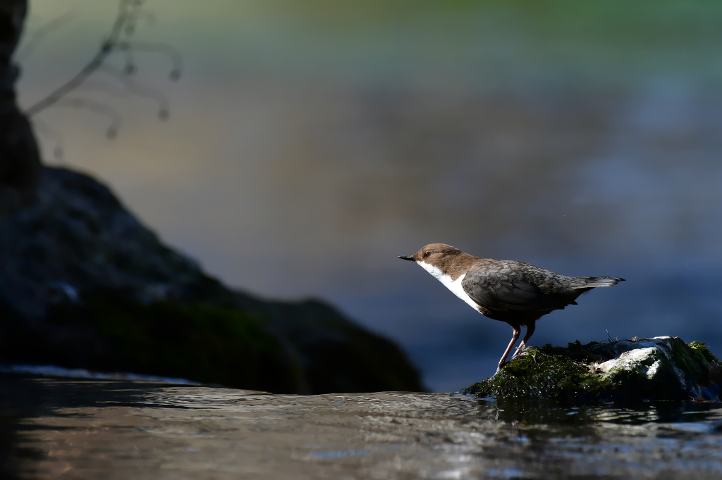 DSC_6177.JPG
