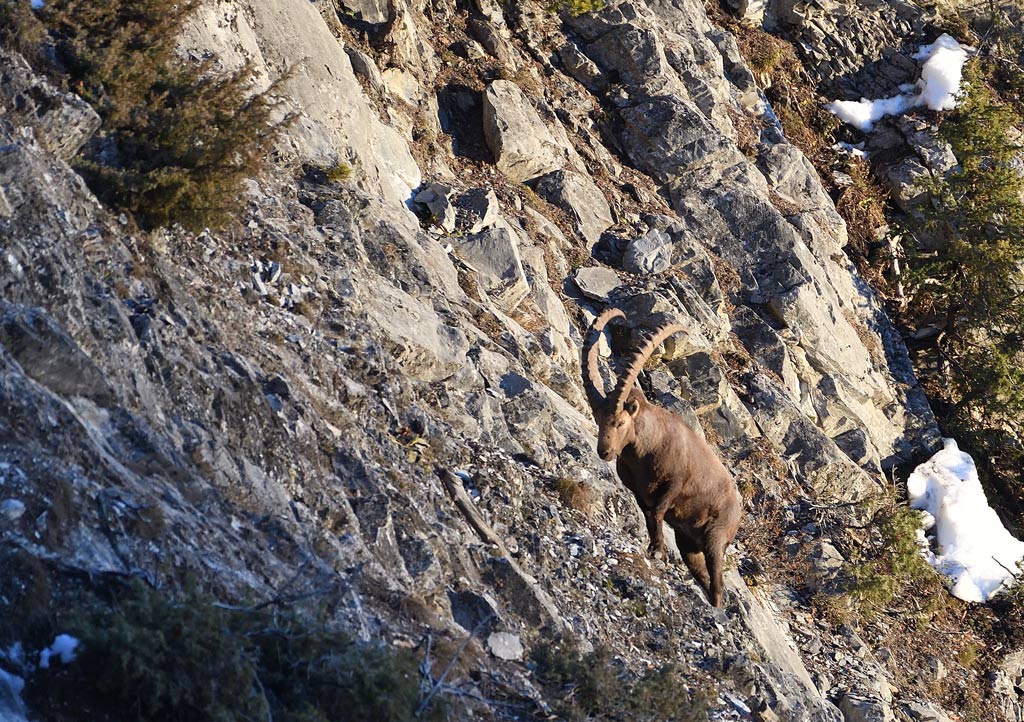 DS5_6639.jpg