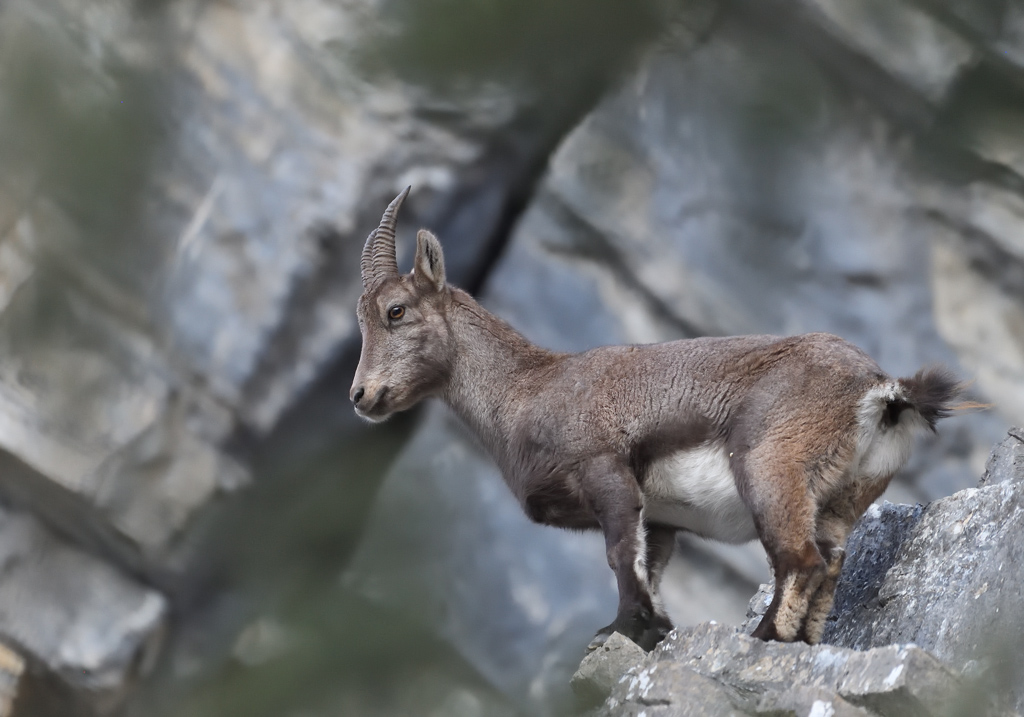 DS5_6645.jpg