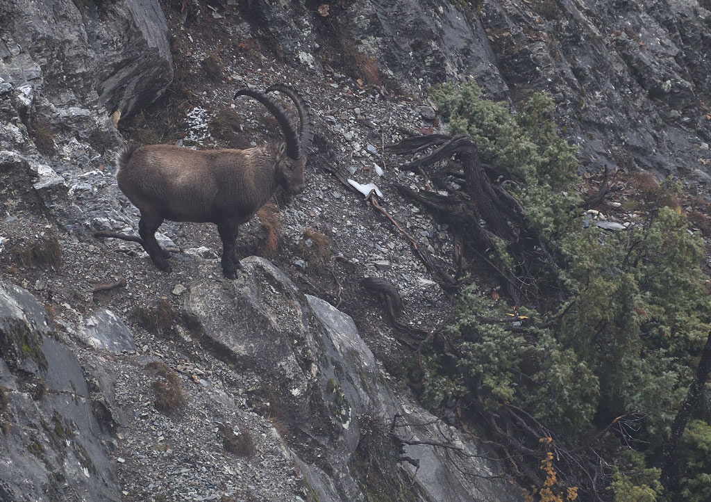 DS5_6664.jpg