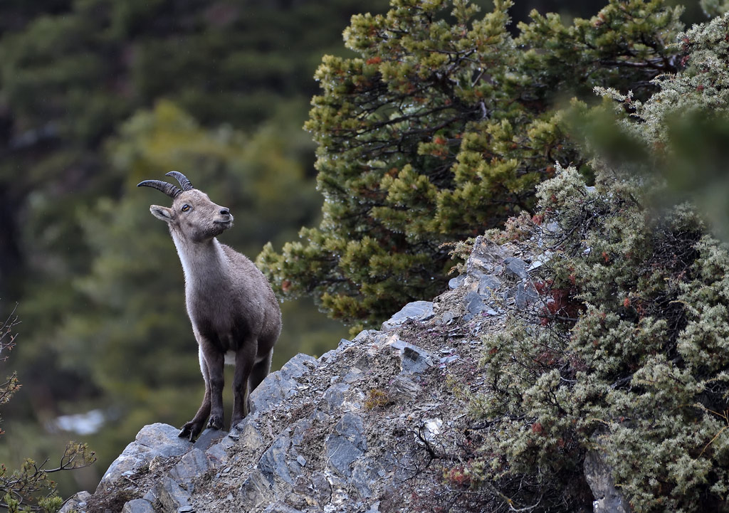 DS5_6687.jpg