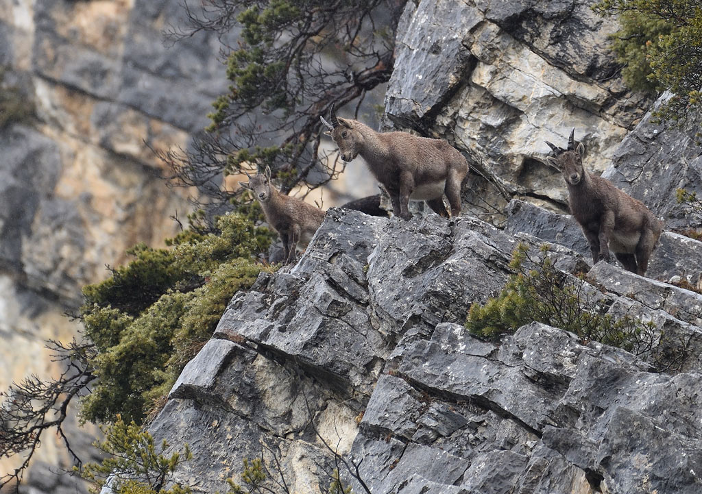DS5_6690.jpg