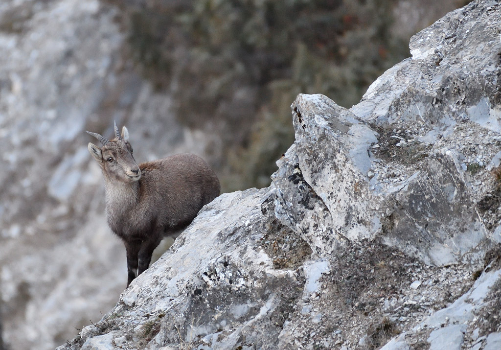 DS5_6707.jpg