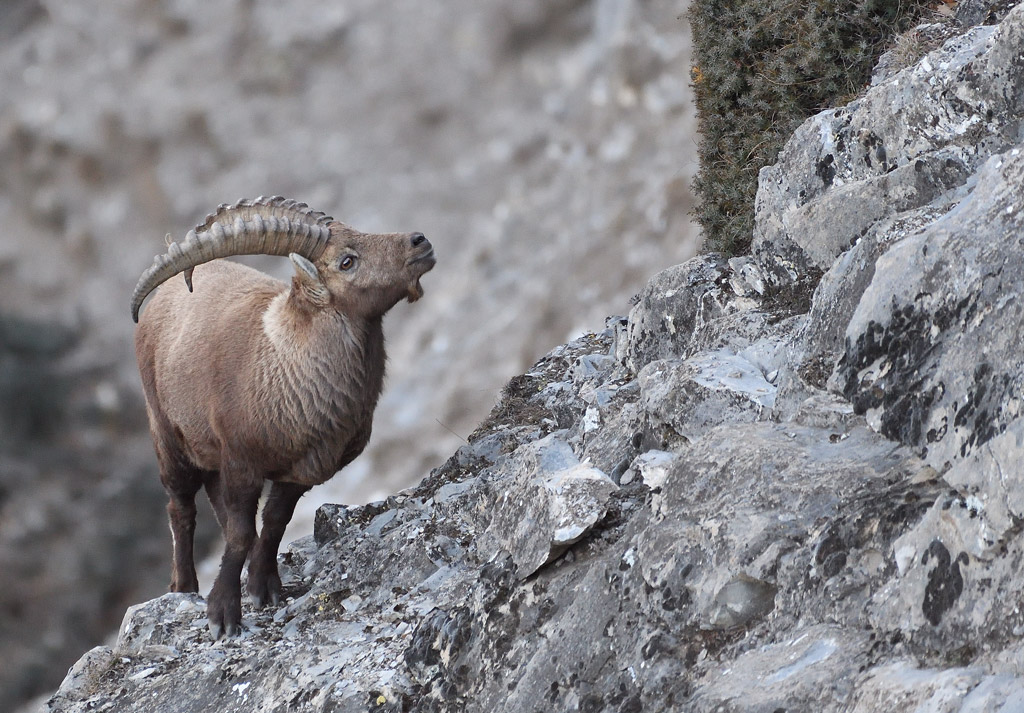 DS5_6711.jpg