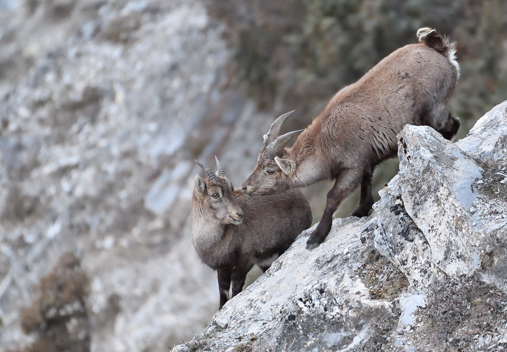 DS5_6714.jpg