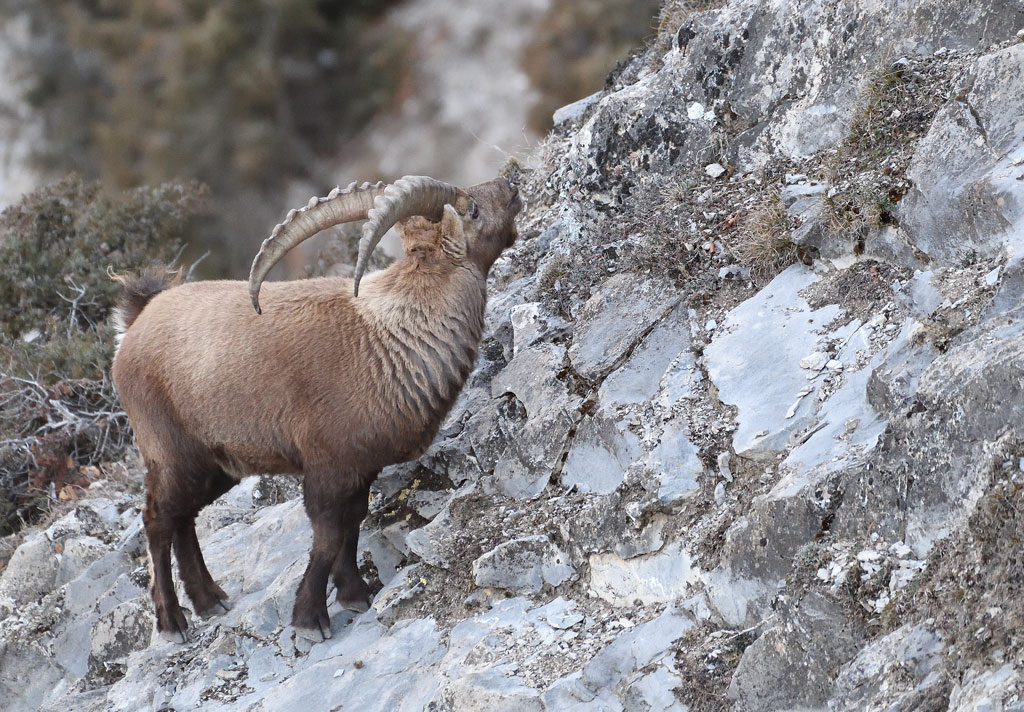 DS5_6719.jpg