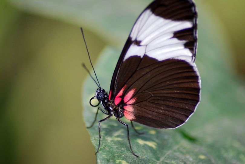 DSC_0071 [].JPG