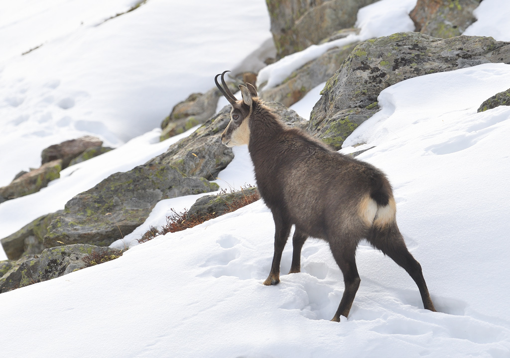 DS5_6068.jpg