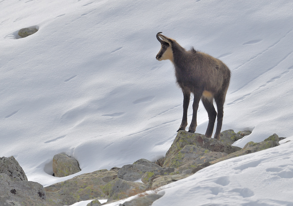 DS5_6076.jpg