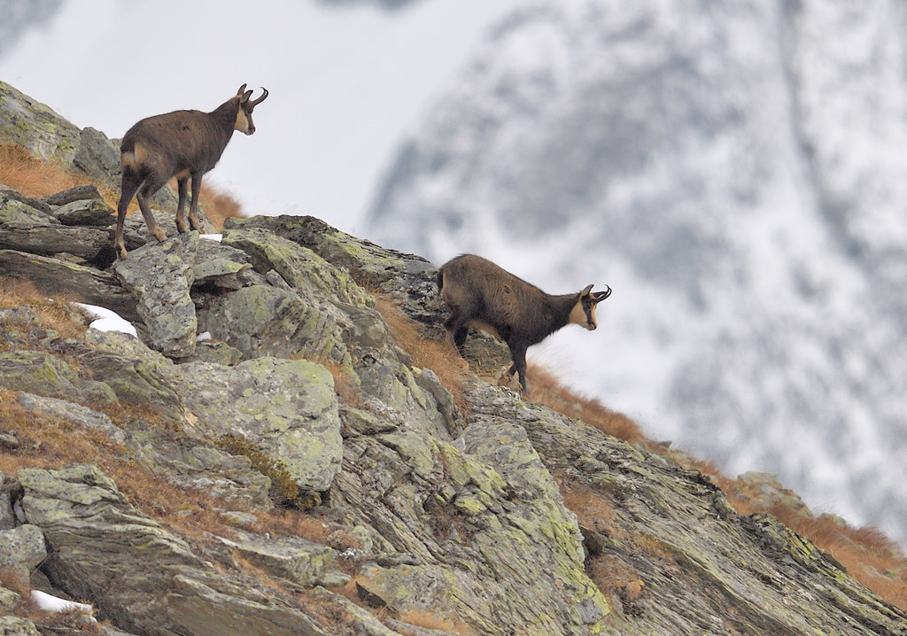 DS5_6139.jpg