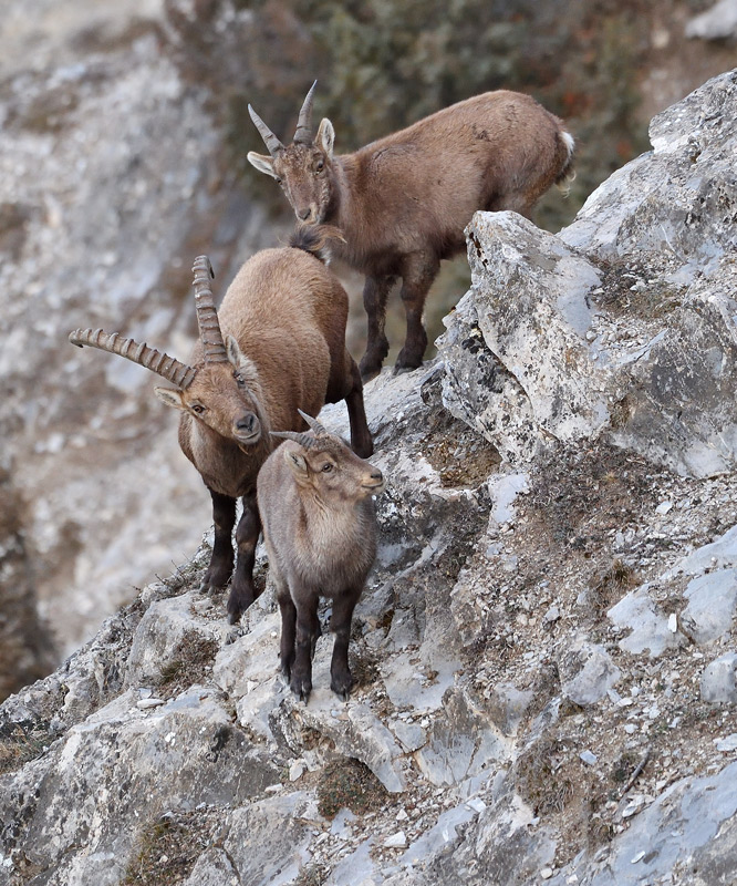 DS5_6736.jpg