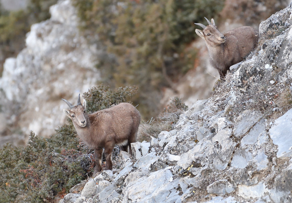 DS5_6739.jpg
