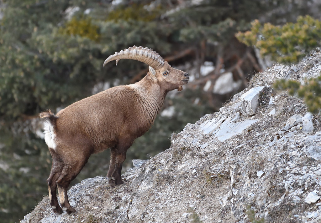 DS5_6745.jpg