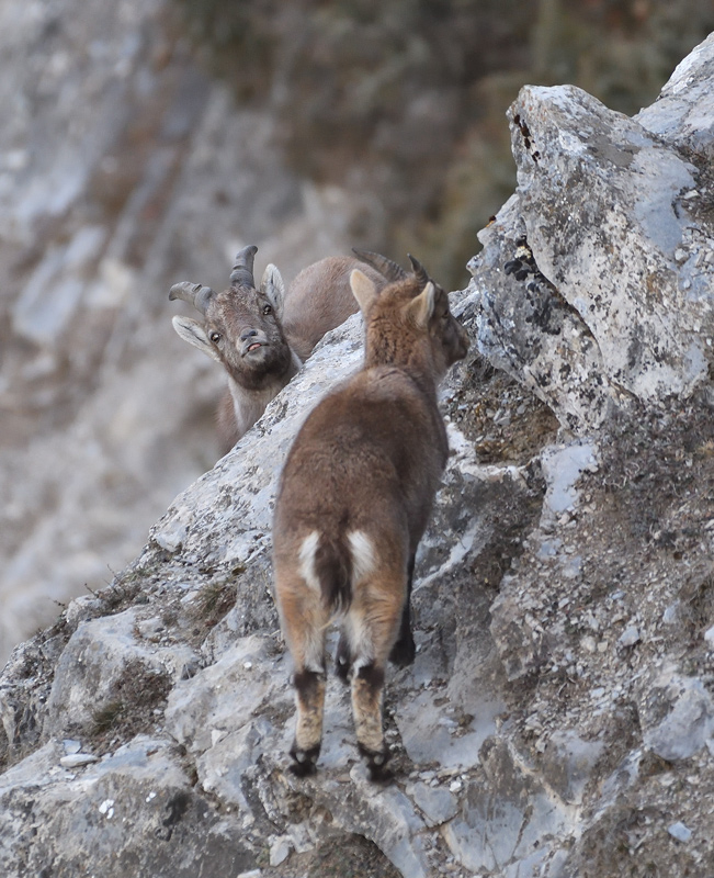 DS5_6748.jpg