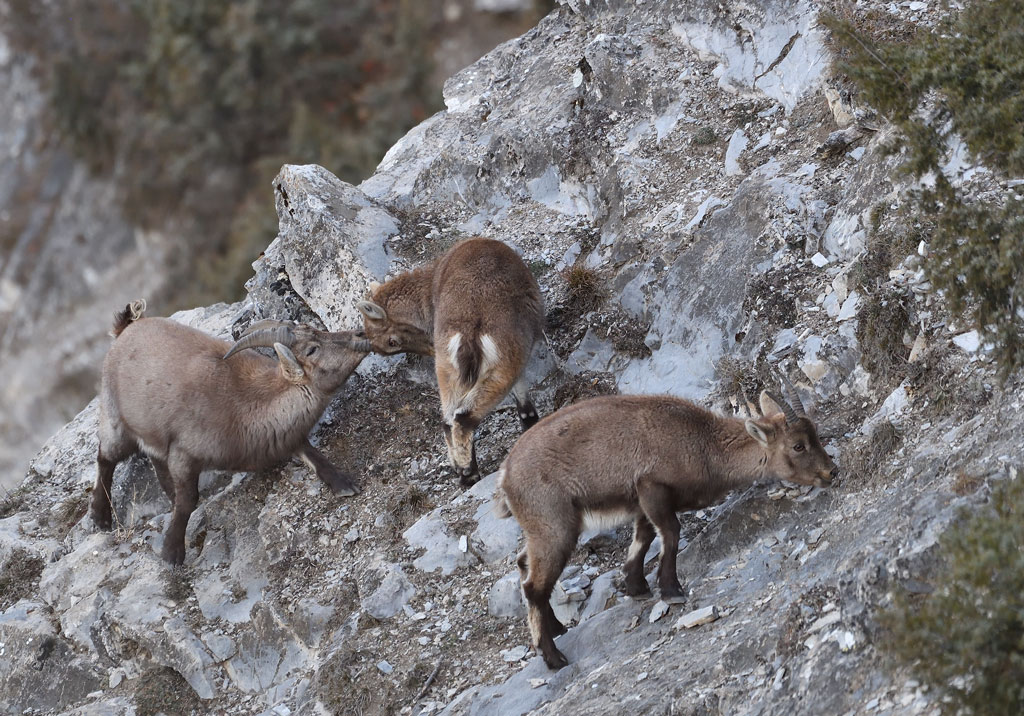 DS5_6753.jpg