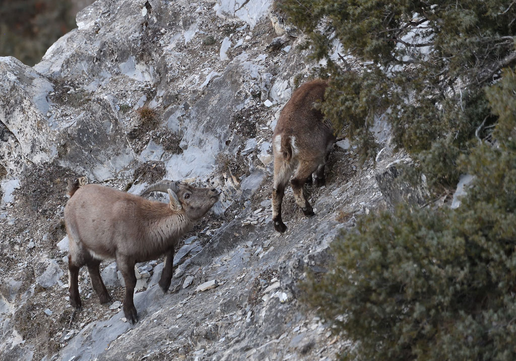 DS5_6759.jpg