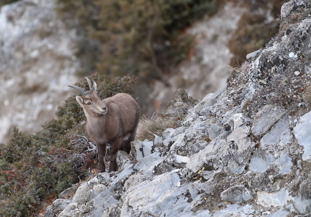 DS5_6766.jpg