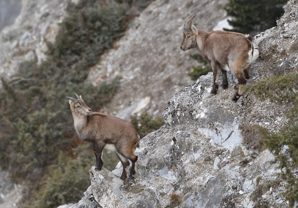 DS5_6772.jpg