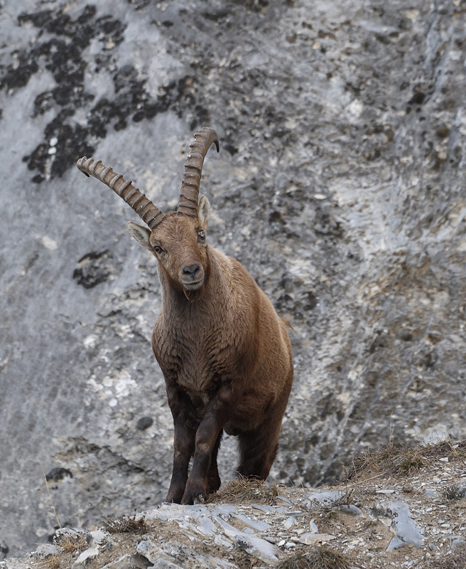 DS5_6776.jpg