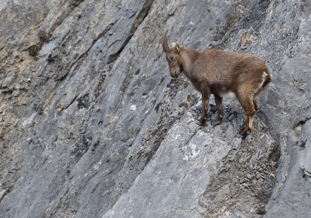 DS5_6777.jpg