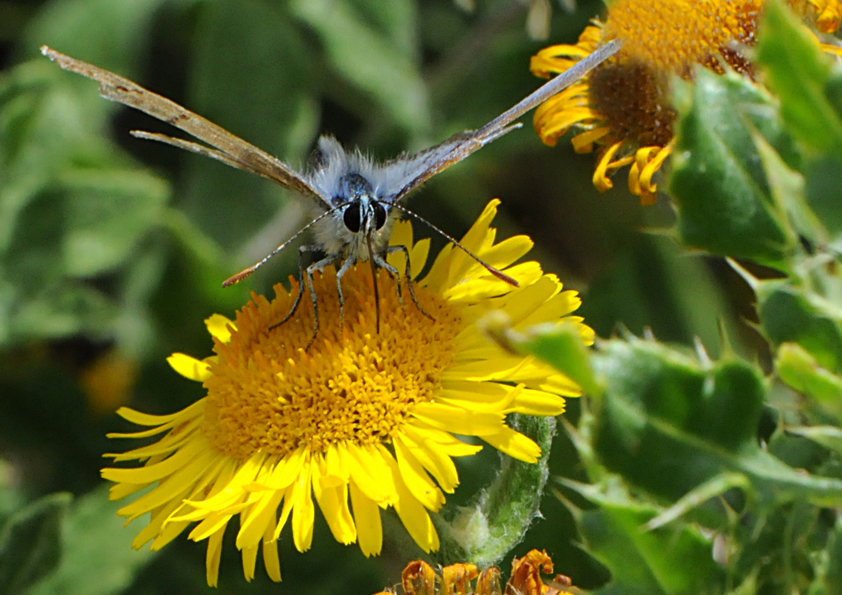 DSC_3459B.jpg