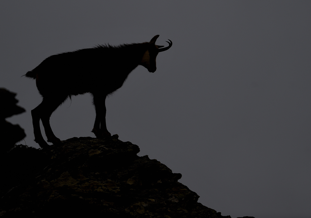 DS5_6206.jpg