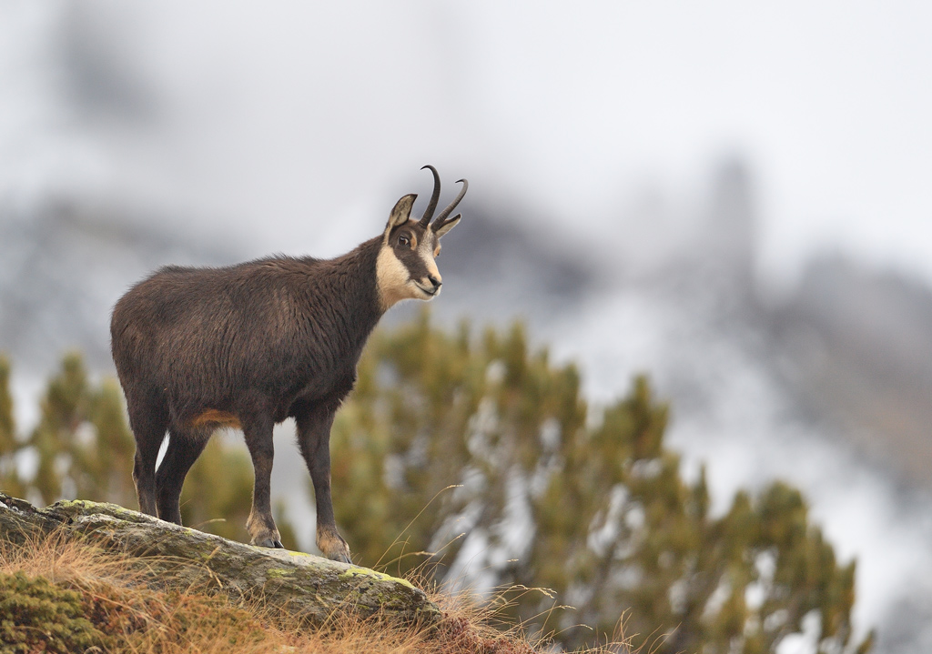 DS5_6212.jpg