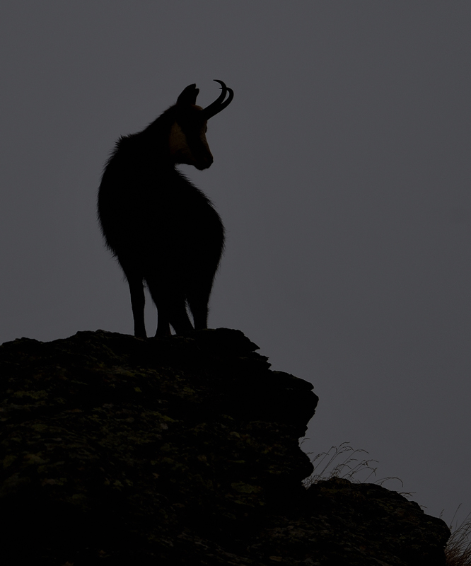 DS5_6229.jpg