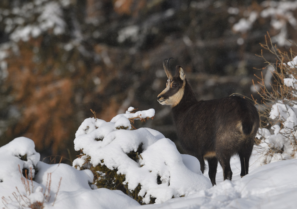 DS5_6256.jpg
