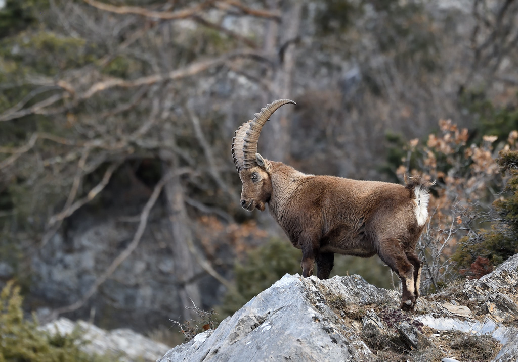 +DS5_6805.jpg