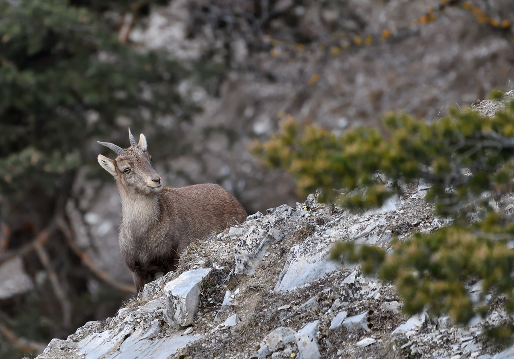 +DS5_6813.jpg