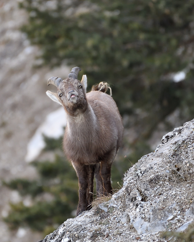 DS5_6850.jpg