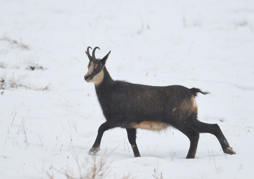 DS5_6284.jpg