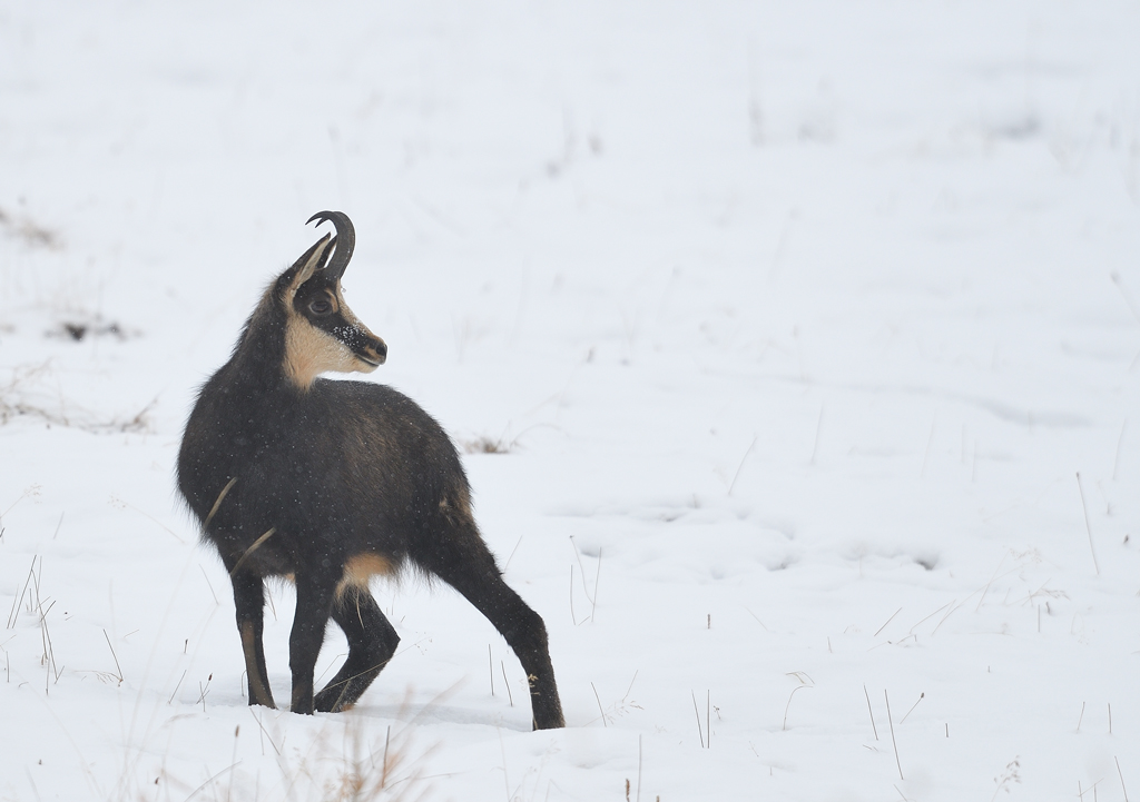 DS5_6285.jpg