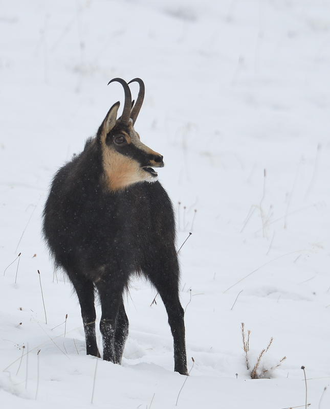 DS5_6292.jpg