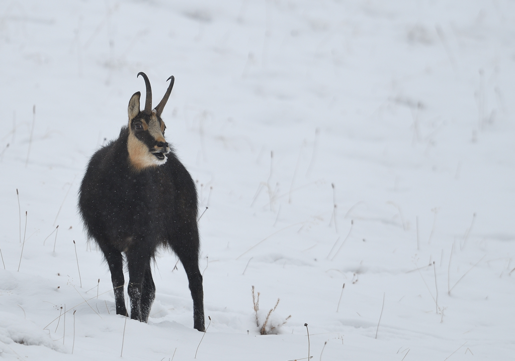 DS5_6294.jpg