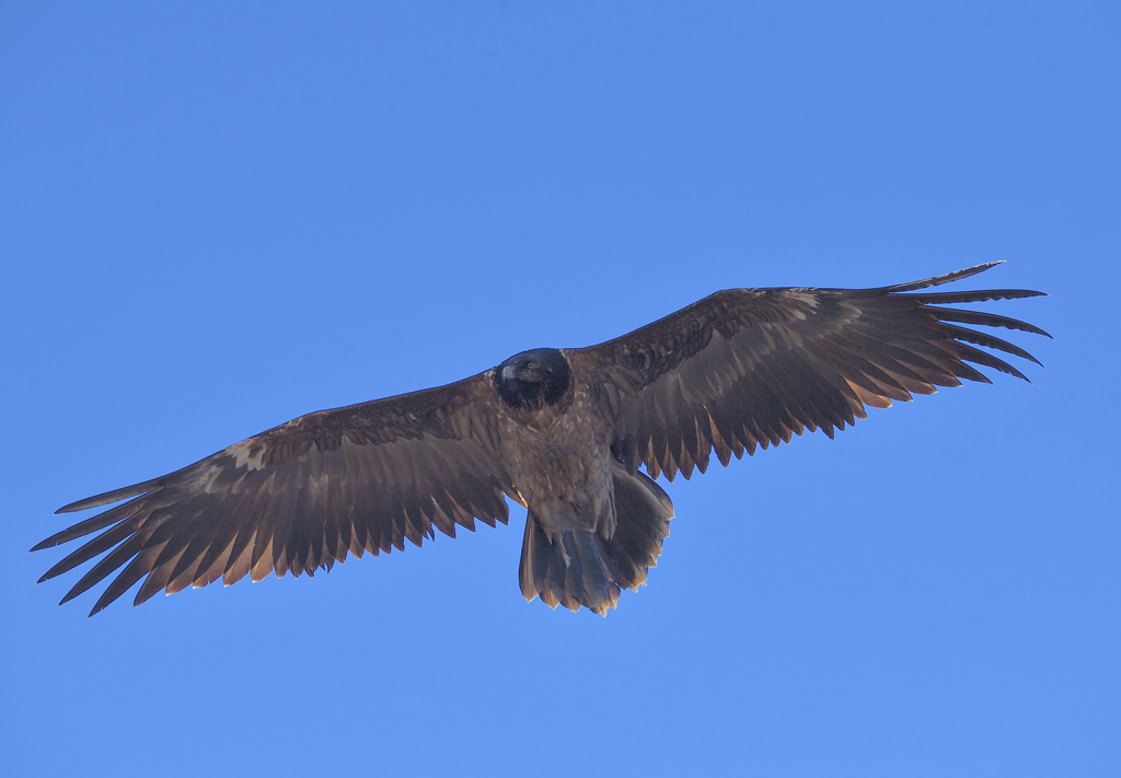 DS5_6881.jpg
