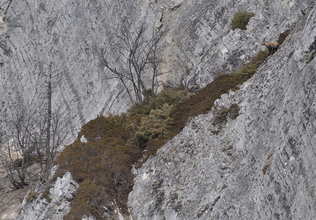 DS5_6924.jpg