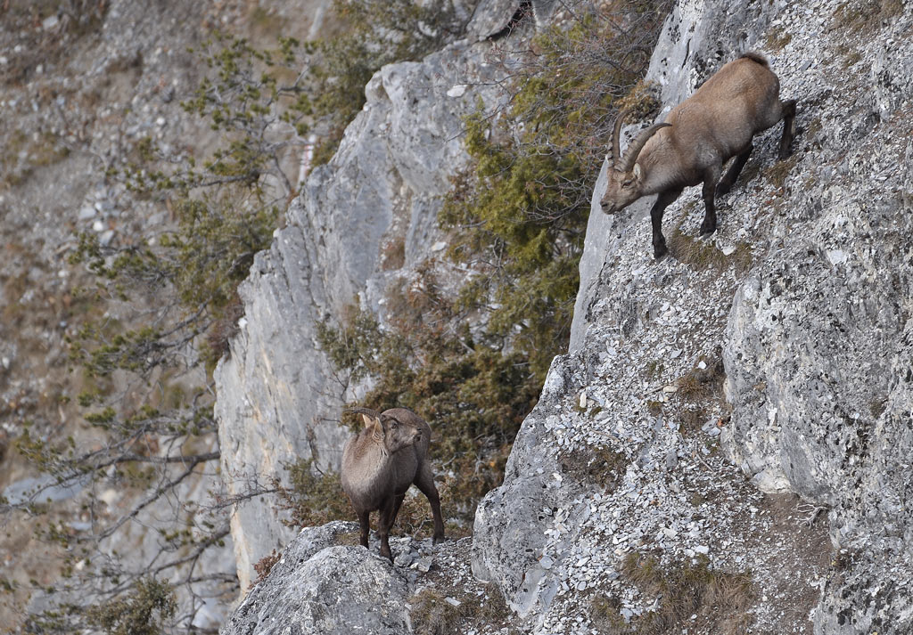 DS5_6961.jpg