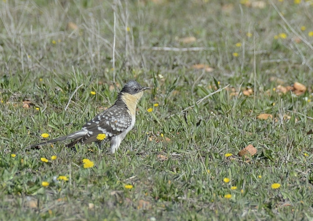 _PA13797.JPG