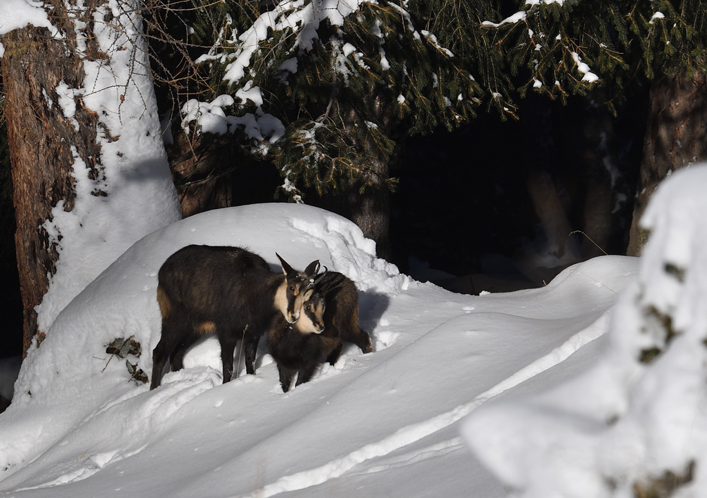 DS5_6383.jpg