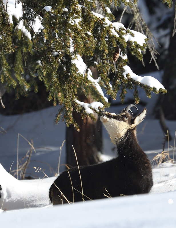 DS5_6412.jpg